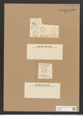 Campylodiscus humilis Grev. (de-Toni-Nr.: Genus 57, Species 2520) Zeichnungen Sammlung Grunow Nr. 5028 (NHMW-BOT-W0373285)